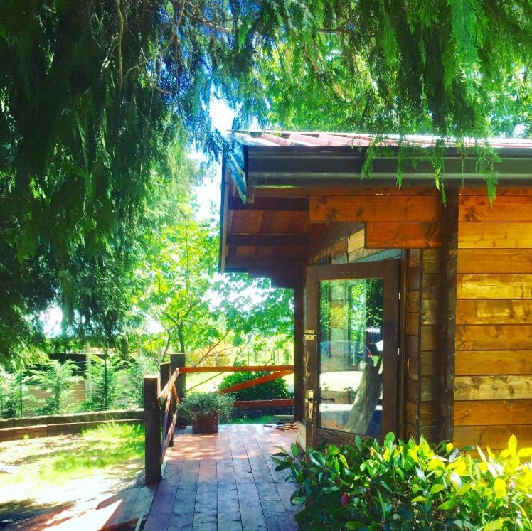 Bilocale In The Farm- Malpensa-Lago Maggiore Varallo Pombia Exterior photo